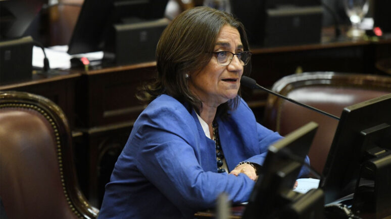 ley bases lucia corpacci