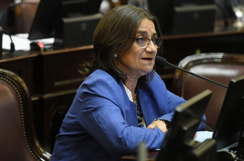 ley bases lucia corpacci