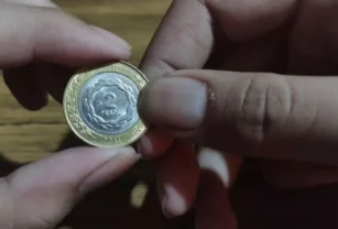 moneda