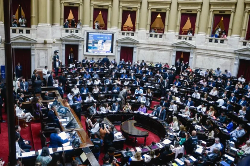 Diputados Ley Bases