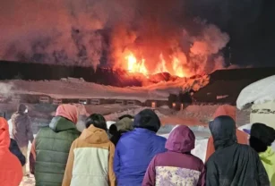 Incendio Neuquén