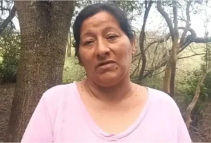 Loan tia