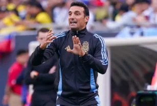 Scaloni Copa América