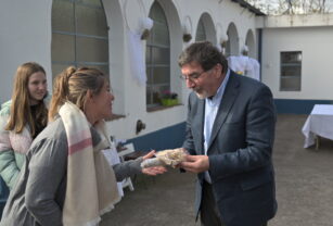 Secundarias provincia pasantías