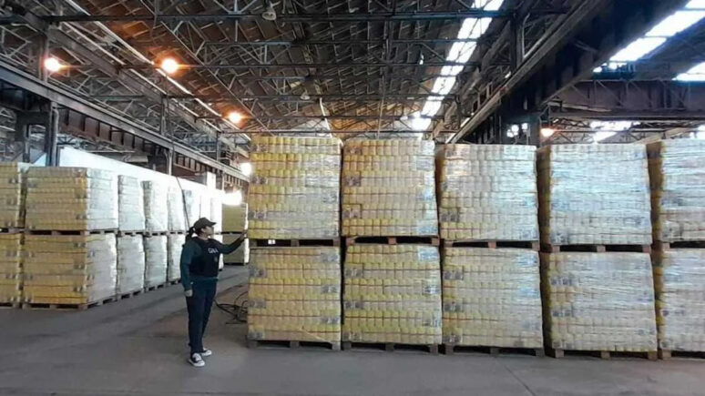 capital humano