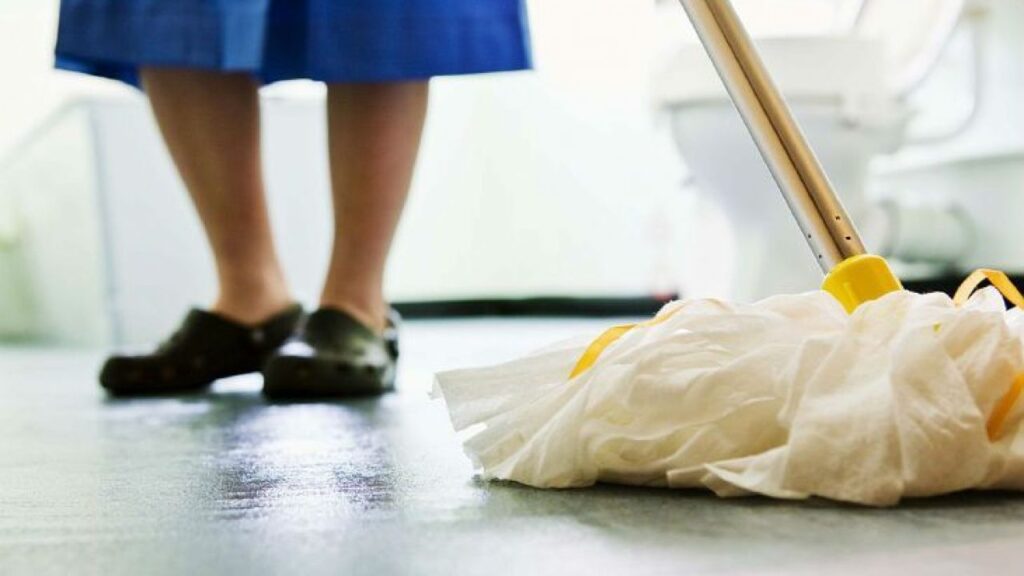 trabajadoras de casas particulares empleada doméstica