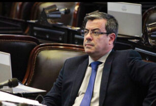german martinez, peronismo diputados