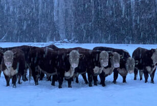 hacienda bajo nieve
