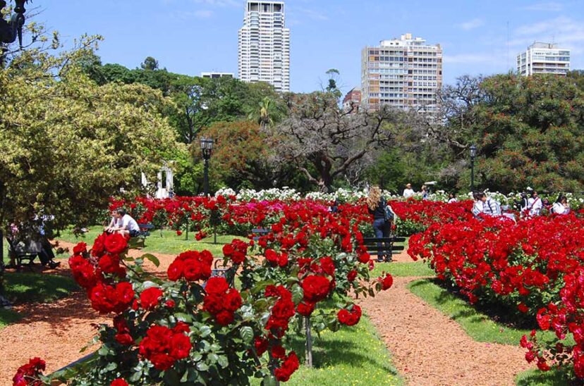 rosedal