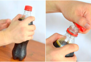 Botella Truco