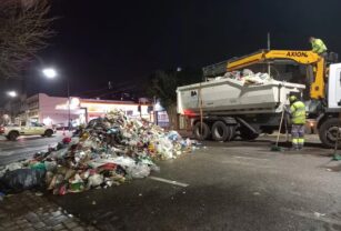 Camión de la basura