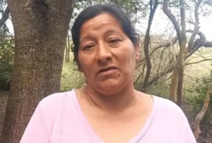 Loan Peña