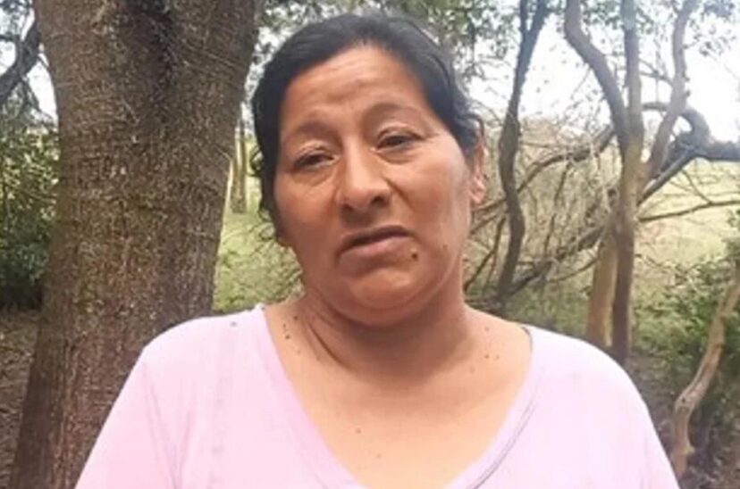 Loan Peña