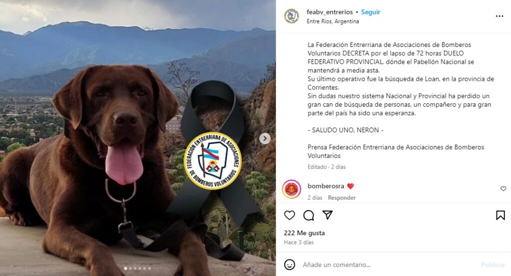 Posteo sobre muerte de Nerón, perro que buscó a Loan