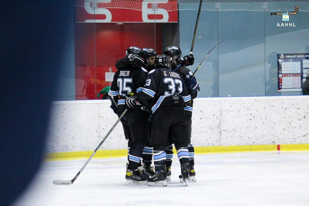 argentina hockey sobre hielo