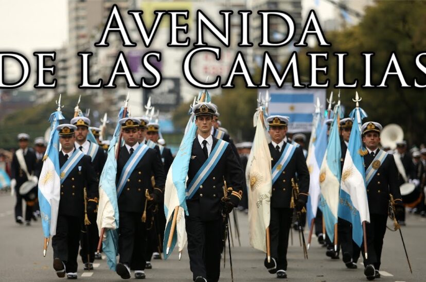 Avenida de las camelias