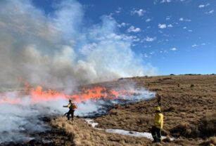 Incendios córdoba