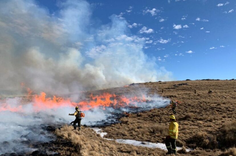 Incendios córdoba
