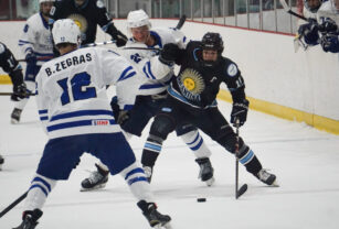 hockey sobre hielo argentina