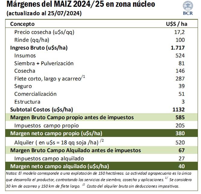 maíz siembra