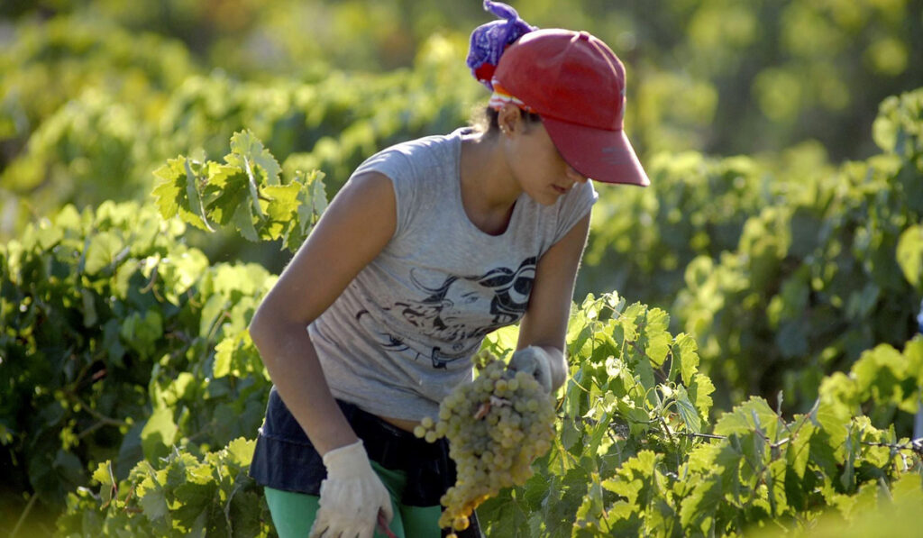 mujeres rurales