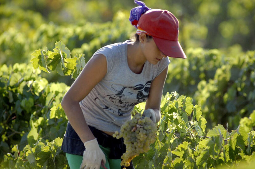 mujeres rurales