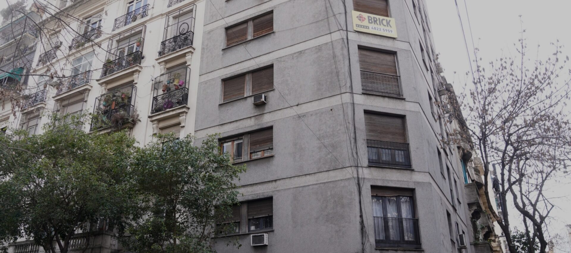 nene monserrat