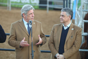 pino y macri