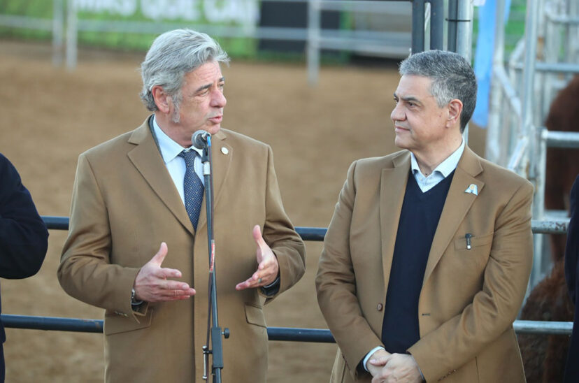 pino y macri