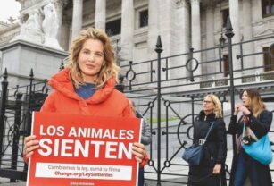 Liz Solari promoviendo la Ley Sintientes
