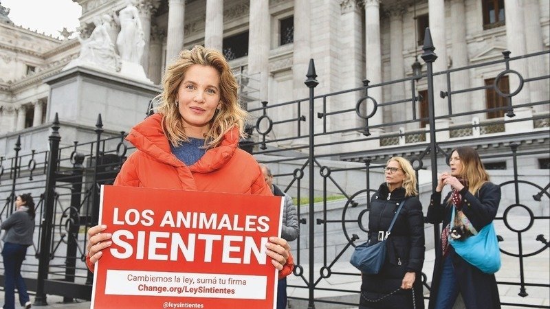 Liz Solari promoviendo la Ley Sintientes