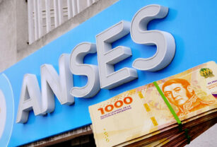 ANSES