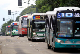 colectivos