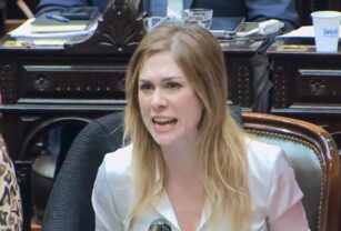 Lemoine Diputados abuso