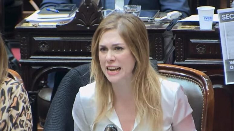 Lemoine Diputados abuso