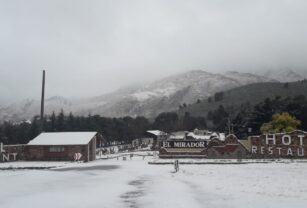 Nieve