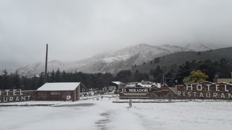 Nieve