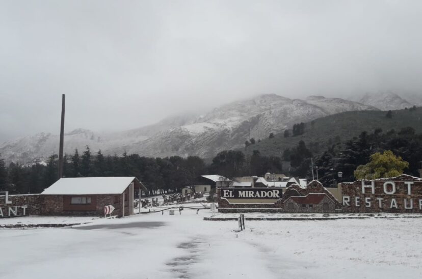 Nieve
