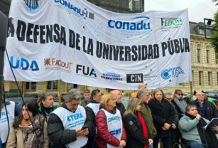 Docentes universitarios -paro