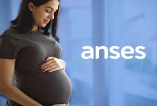 ANSES