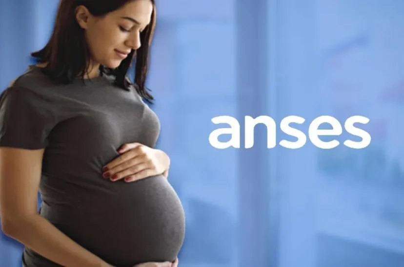 ANSES