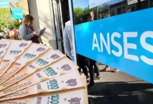 ANSES