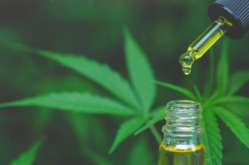 cannabis medicinal