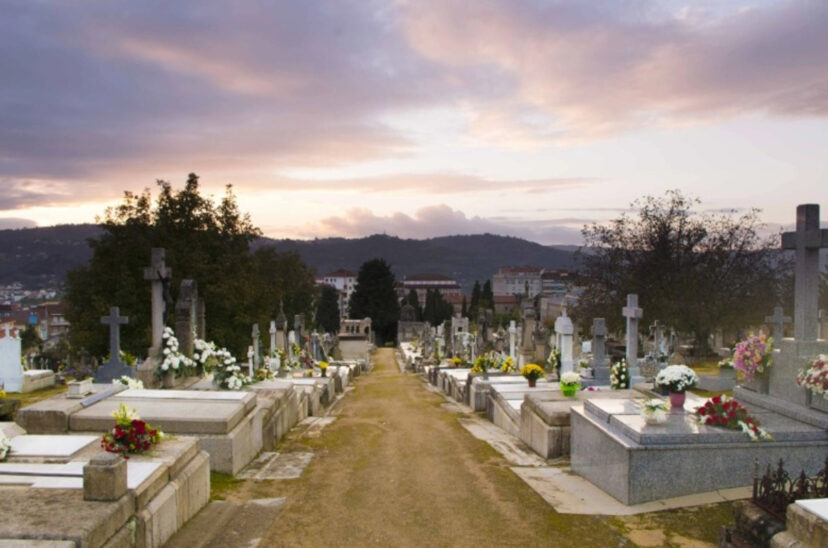 cementerio robo de cadaver