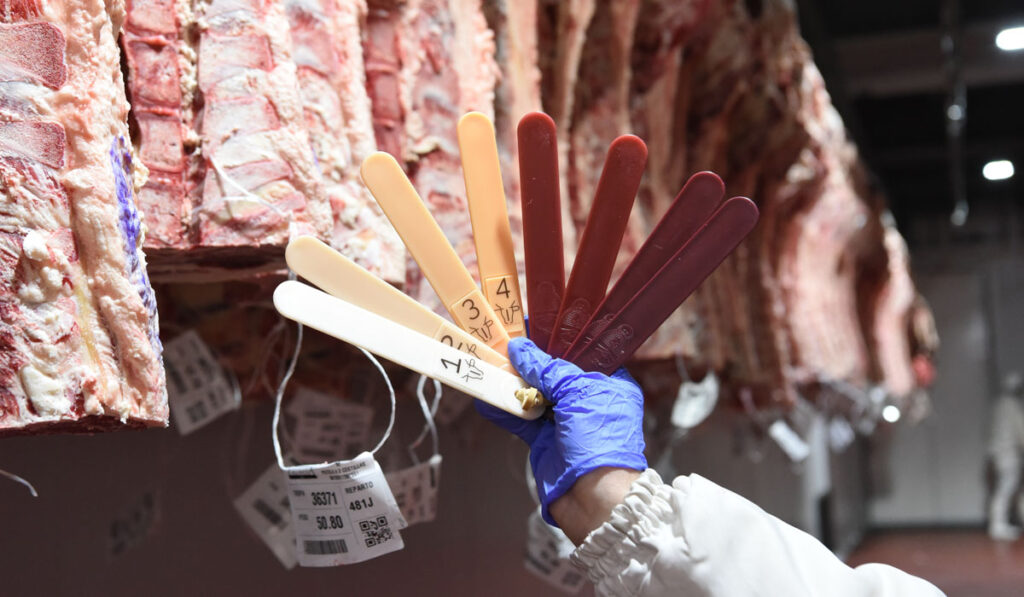 clasificación carne