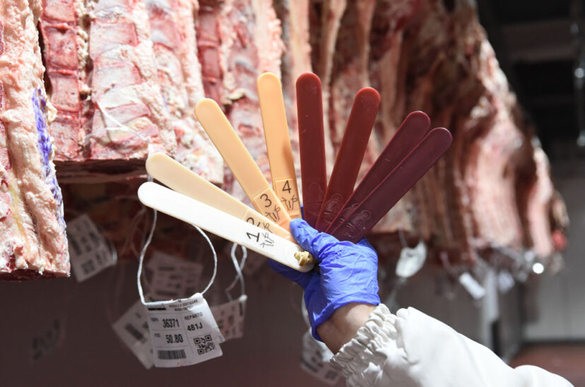 clasificación carne