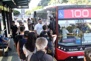 colectivo
