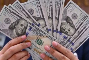 Dólar Murió Dólar blue ARCA