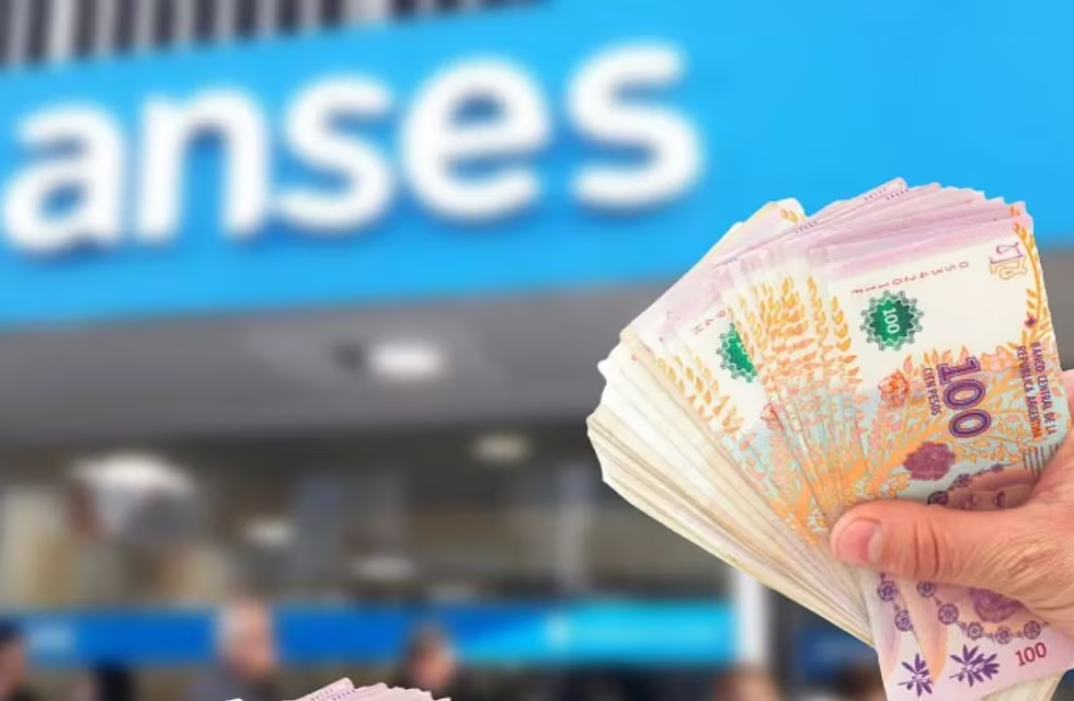 ANSES