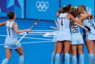 las leonas